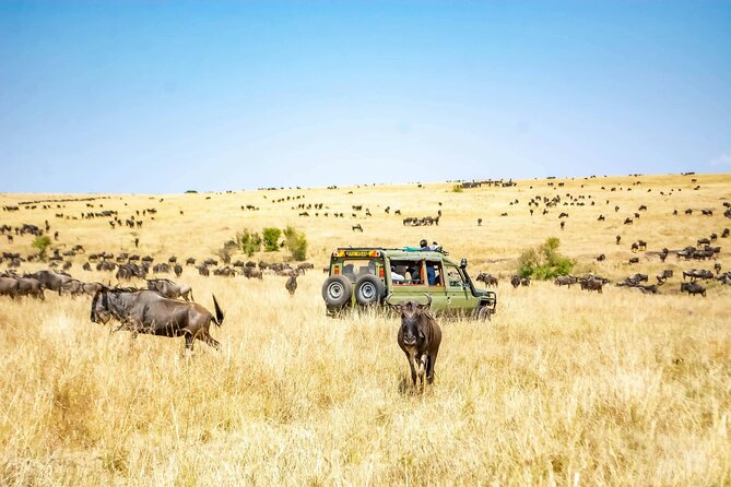 4 Days Lake Nakuru and Masai Mara Luxury Safari - The first night: comfort after a long road
