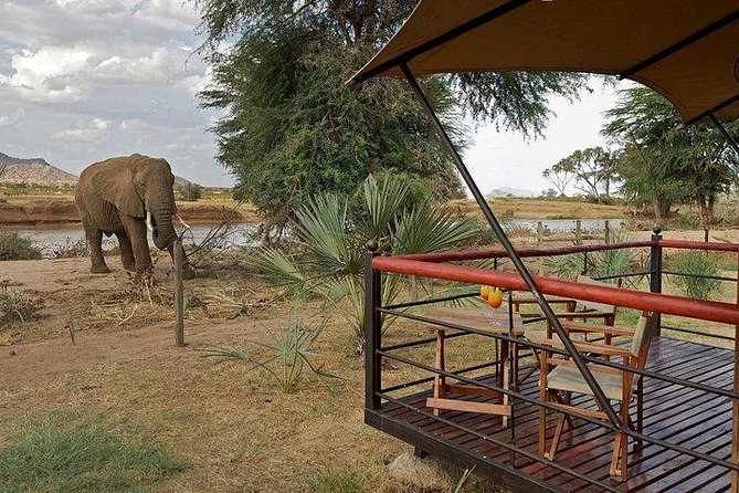 4 days Maasai Mara-Nakuru Mid-Range - Day four: Sunrise, breakfast, and the road back