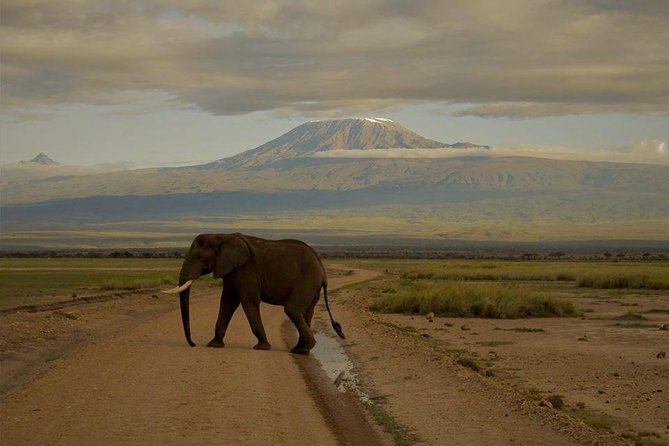 4 days Maasai Mara-Nakuru Mid-Range - What the $1,681.89 price covers