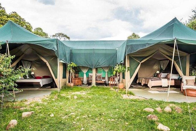 4 days Maasai Mara-Nakuru Mid-Range - Meals, lodging, and daily comfort