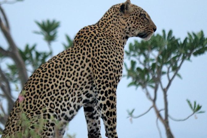 4 days Maasai Mara-Nakuru Mid-Range - Service style and planning support