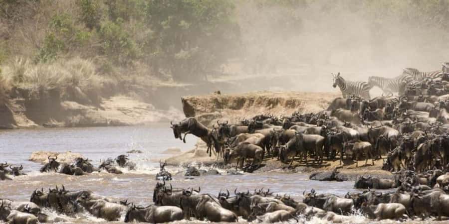 4 DAYS MAASAI MARA NATIONAL RESERVE GROUP SAFARI- 4WD - Key points at a glance