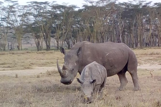 4 Days - Majestic Maasai Mara and Lake Nakuru Safari - The long transfer to Lake Nakuru