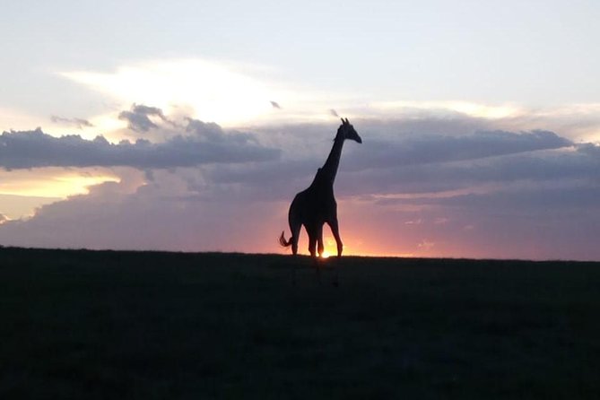 4 Days - Majestic Maasai Mara and Lake Nakuru Safari - Leaving Nairobi for the Great Rift Valley