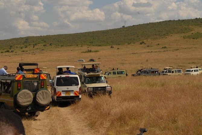 4 Days Masai Mara and Lake Nakuru Budget Safari Meals included - Day 3: Sunrise wildlife, then the road to Nakuru