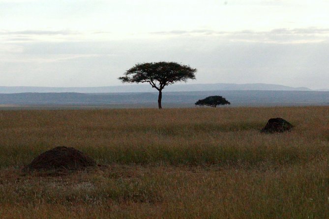 4 Days Masai Mara Camping Safari - Day 4: The long road back to Nairobi