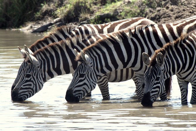 4 Days Masai Mara Camping Safari - How the $1,150 price works out