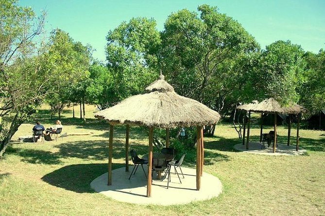 4 Days Masai Mara Camping Safari - What kind of safari suits you best
