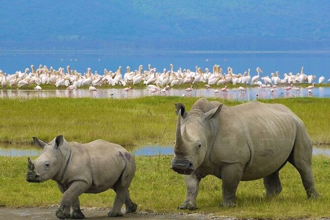 4 Days Masai Mara & Lake Nakuru Budget Group Safari in a 4x4 Jeep - Day one: Nairobi to the Mara via the Great Rift Valley