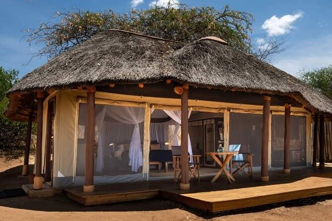 4 Days Masai Mara/Lake Nakuru Budget Safari - Day 4: Rhinos and birds before Nairobi
