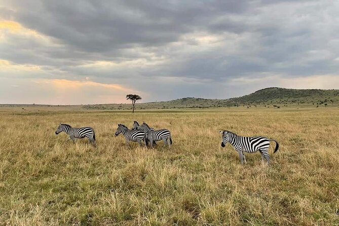 4 Days Masai Mara & Lake Nakuru Group Joining Safari - Day 3: Leaving the Mara for Lake Nakuru