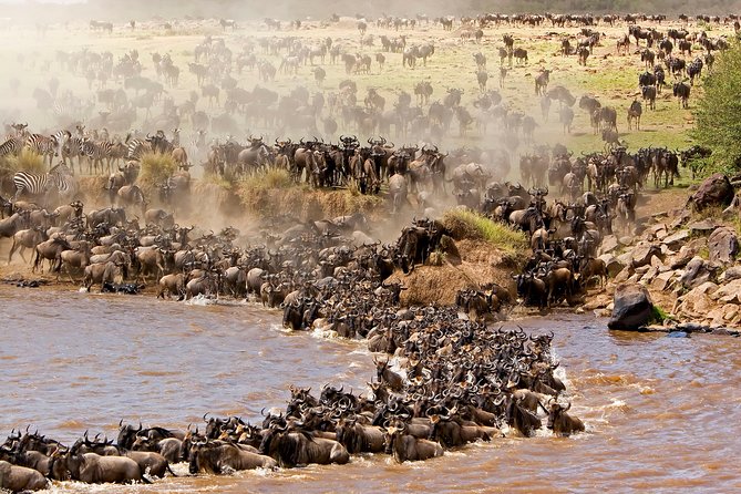 4 days masai mara Nakuru Joining safari - Lake Nakuru’s flamingoes and rhino country