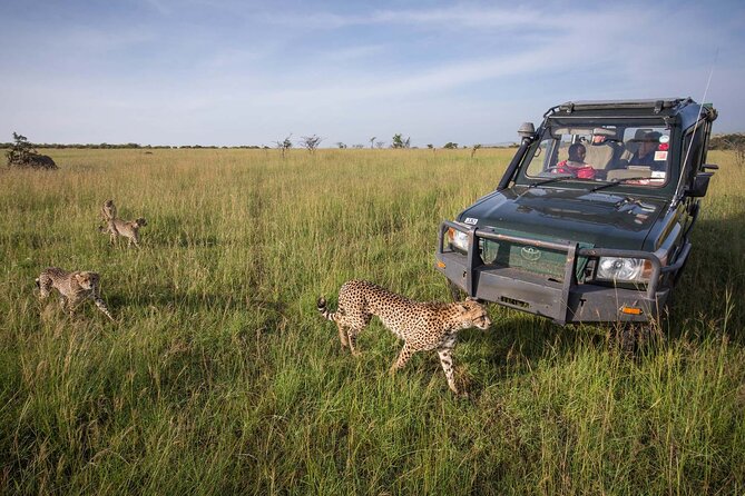 4 Days Mid Luxury Safari, Lake Nakuru and Masai Mara. - Lake Nakuru and its famous rhinos