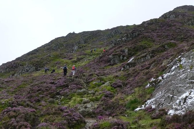 4 Days Mount Kenya - Key points before you book