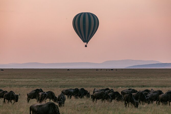 4 Days of Untamed Beauty: An Unforgettable Masai Mara Road Safari - Reaching the reserve from Nairobi