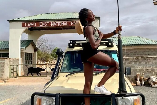 4 Days Private Safari Tour Tsavo and Amboseli from Nairobi - Day three: Mzima Springs and the road to Amboseli