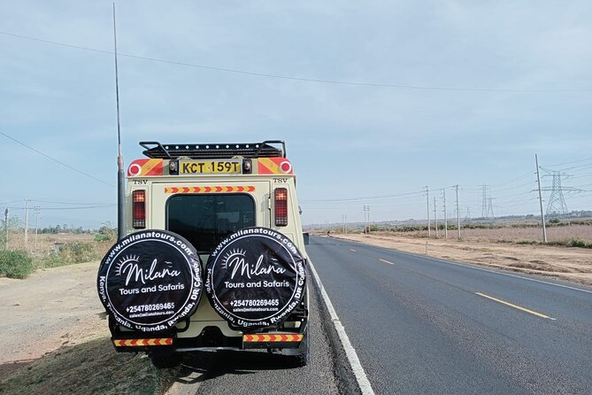 4 Days Private Safari Tour Tsavo and Amboseli from Nairobi - Day four: A final Amboseli game drive