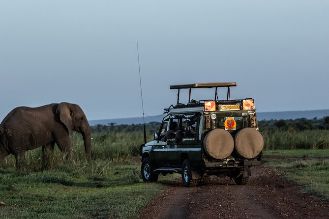 4 Days Safari from Mombasa to Amboseli and Tsavo West and East - Three parks, one compact Kenyan safari