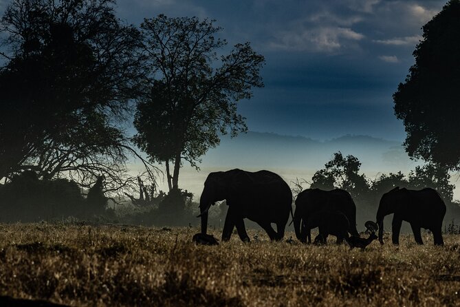 4 Days Safari from Mombasa to Amboseli and Tsavo West and East - Tsavo West: springs, lesser kudu, and rhino country
