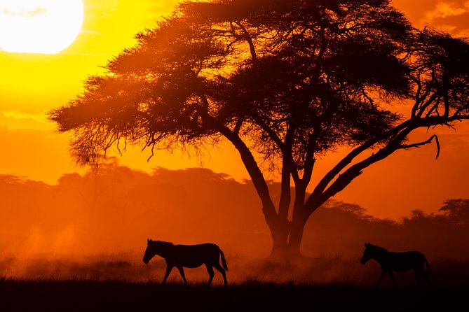 4 Days Safari from Mombasa to Amboseli and Tsavo West and East - What the $1,600 price includes
