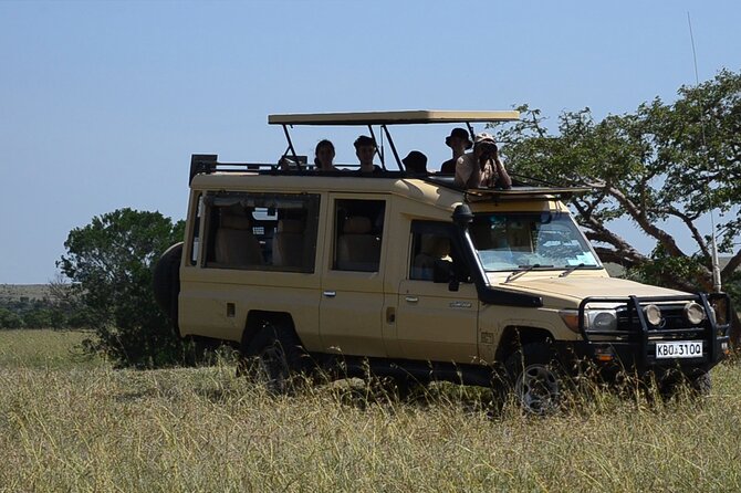 4 Days Safari Lake Nakuru NP Naivasha and Masai Mara - Day three: A full day in the Masai Mara