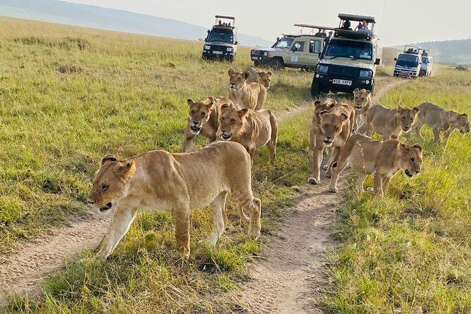4 Days Tour Landcruiser in Masai Mara and Lake Nakuru - Why Masai Mara deserves two nights