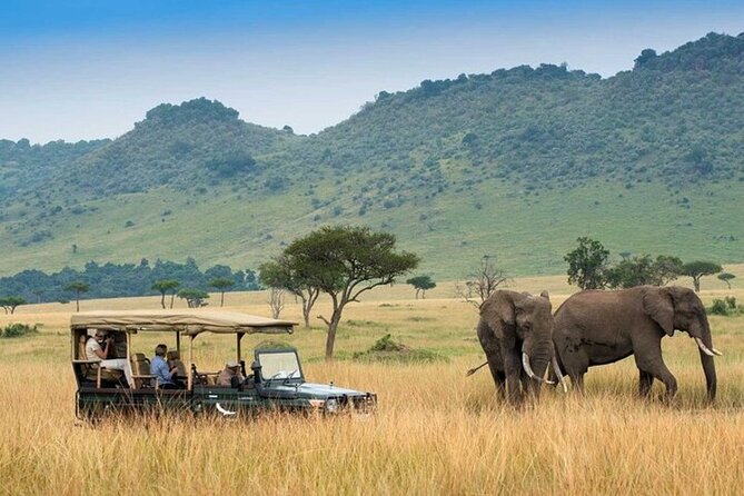 4day Maasai Mara, Lake Nakuru, and Lake Naivasha - Three Kenyan parks in four demanding days