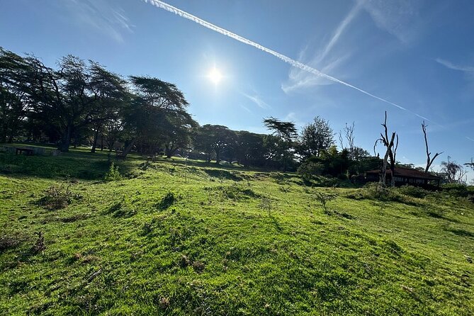 4day Maasai Mara, Lake Nakuru, and Lake Naivasha - Day 1: From Nairobi to Maasai Mara