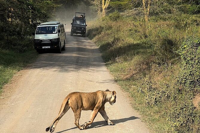 4day Maasai Mara, Lake Nakuru, and Lake Naivasha - Day 4: Bicycles, cliffs, and Lake Naivasha