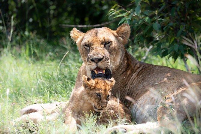 4x4 Safari in Tsavo East National Park - Why Tsavo East makes a strong day trip from Mombasa