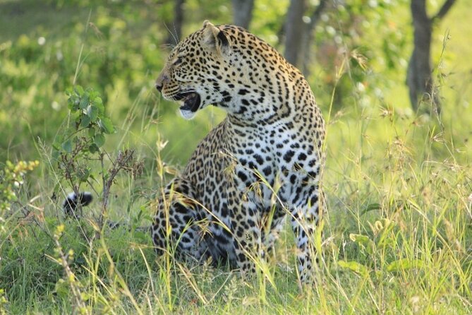 5-Day Masai Mara Lake Nakuru and Naivasha Small-group Safari Tour - Day 5: Hell’s Gate and the return to Nairobi