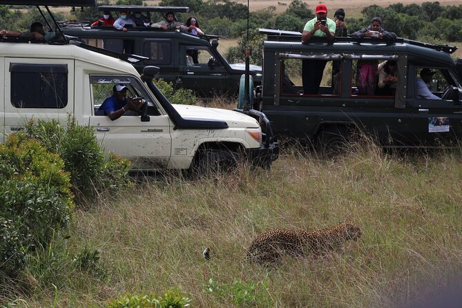 5-Day Private Tour in Kenya's Best Game Parks - Guide quality, communication, and one serious caution