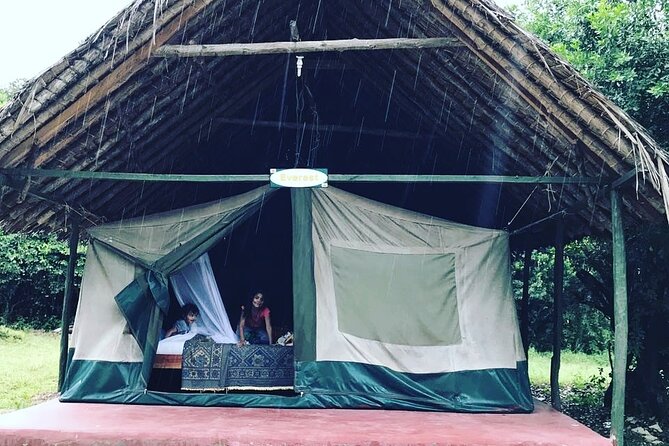 5-Day Safari in Maasai Mara, Lake Nakuru and Naivasha - Day 1: Nairobi to Maasai Mara via the Great Rift Valley