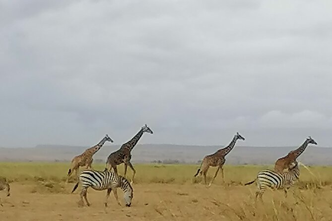 5-Day Safari in Maasai Mara, Lake Nakuru and Naivasha - Day 5: Biking and gorges at Hell’s Gate