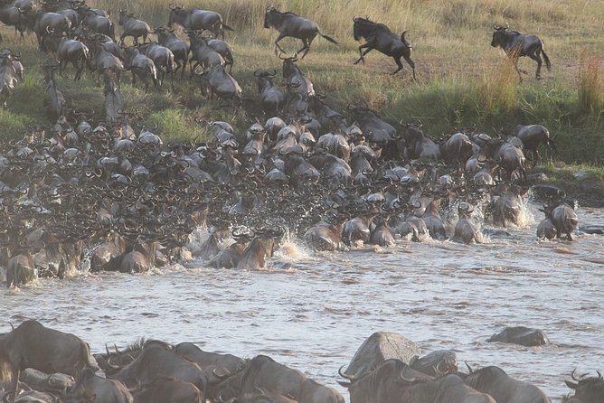 5 Days/4 Nights Kenya Safari - Day 1: From Nairobi to the Maasai Mara