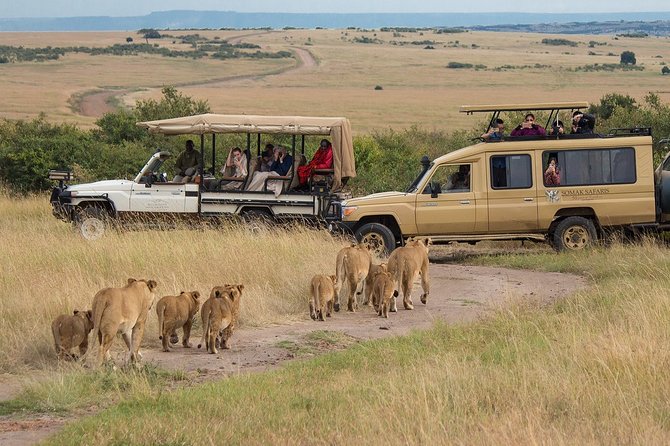 5 Days/4 Nights Kenya Safari - Day 3: Leaving the Mara for Lake Naivasha and Nakuru