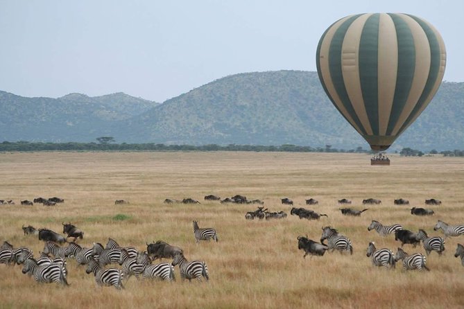 5 Days Best Of Kenya Safari - Day 2: A Full Day in Maasai Mara