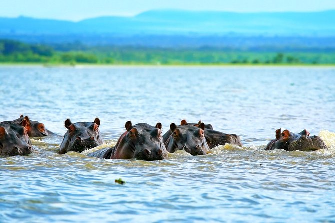 5 Days Hell's Gate, L. Naivasha, L. Nakuru & Masai Mara Luxury Safari - A fast route through Kenya’s Rift Valley