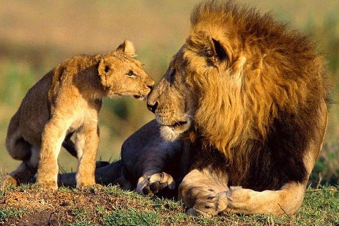 5 Days Hell's Gate, L. Naivasha, L. Nakuru & Masai Mara Luxury Safari - Day 5: Returning to Nairobi by way of the Rift Valley