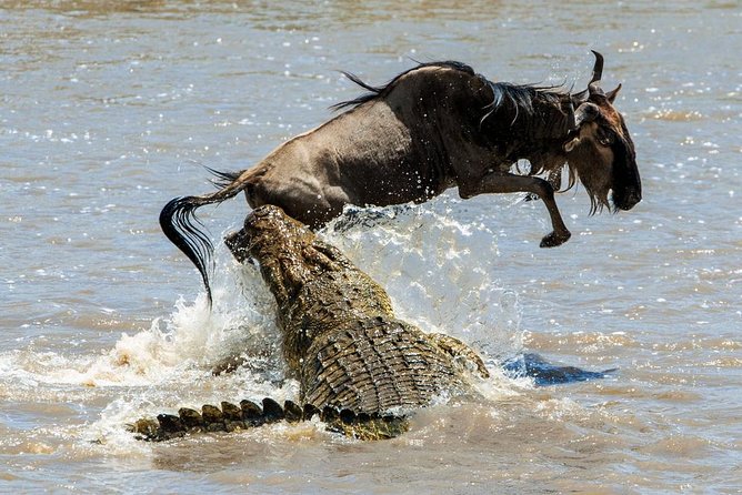 5 Days Hell's Gate, L. Naivasha, L. Nakuru & Masai Mara Luxury Safari - Day 3: The long road to the Masai Mara