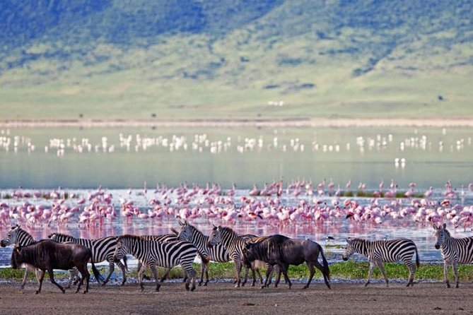 5 Days Kenya Masai Mara and Lake Nakuru Private Tour - What the private format adds