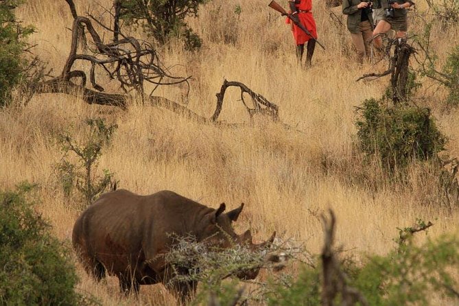 5 Days Kenya Masai Mara and Lake Nakuru Private Tour - Food, fees, and what to confirm