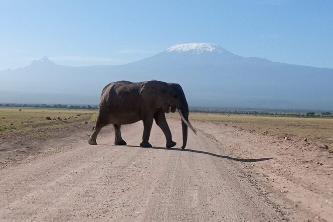 5 Days Lake Naivasha, Lake Nakuru, & Masai Mara - Day one: Rift Valley views and Lake Naivasha
