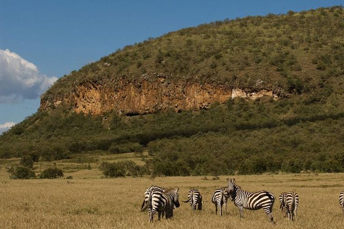 5 Days Maasai mara, Lake Nakuru, samburu private lodge safari - Maasai Mara gives you the strongest opening