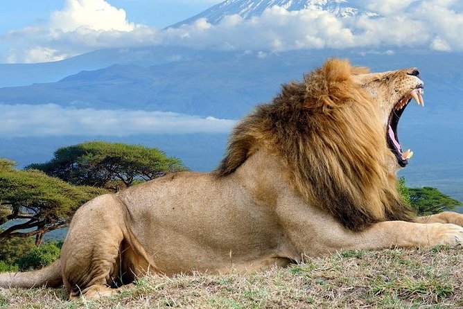 5 Days Maasai mara, Lake Nakuru, samburu private lodge safari - Lake Nakuru adds rhinos and a different setting