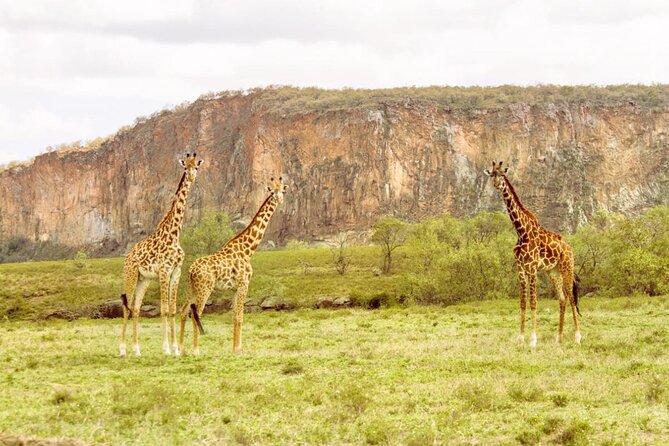 5 Days Masai Mara, Lake Nakuru & Naivasha Budget Joining Safari - Why this five-day route works