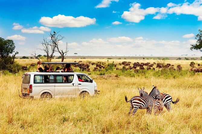 5 Days Masai Mara, Lake Nakuru & Naivasha Budget Joining Safari - Accommodation, transport, and daily comfort
