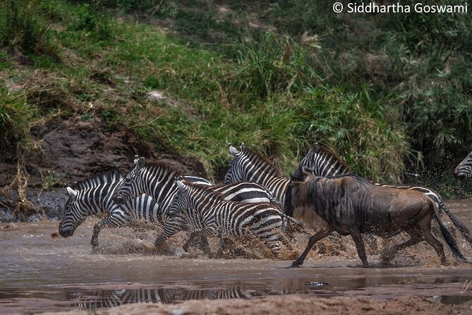 5 days Masai Mara Wildebeest migration safari - Nairobi arrival: a practical first night