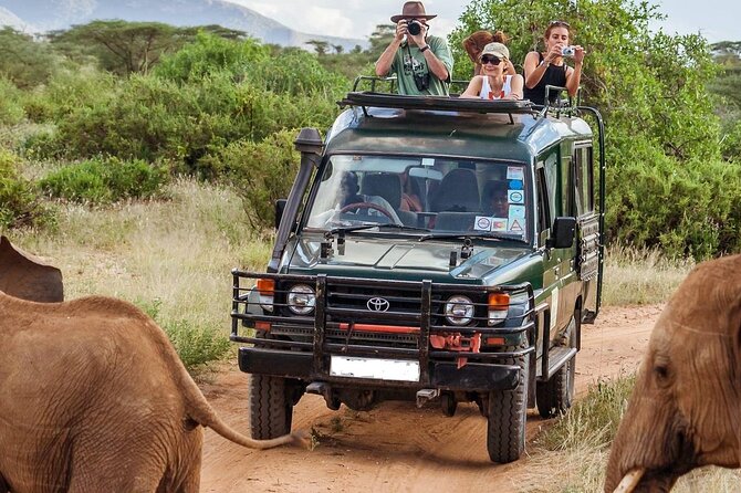 5 Days Mombasa,Tsavo East, Taita Salt Lick, Tsavo West, Amboseli, - Key points to know before booking