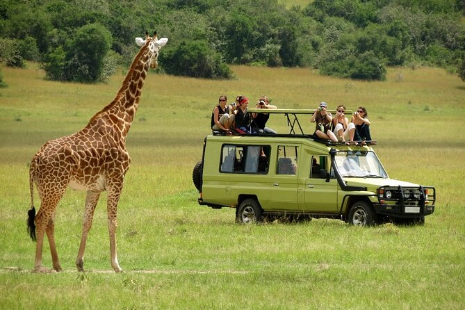 5 Days Mombasa,Tsavo East, Taita Salt Lick, Tsavo West, Amboseli, - Day 4: Mzima Springs, then Amboseli